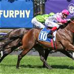crystal mile bet on